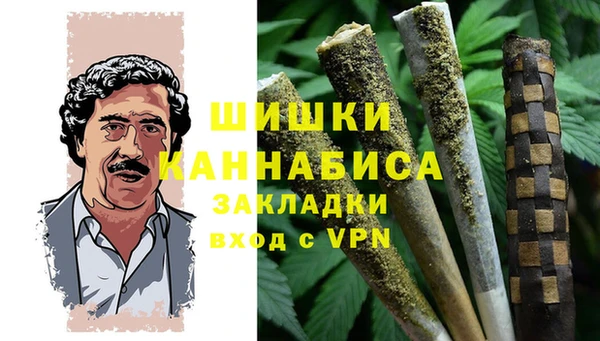 гидра Балахна