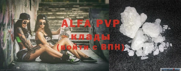 гидра Балахна