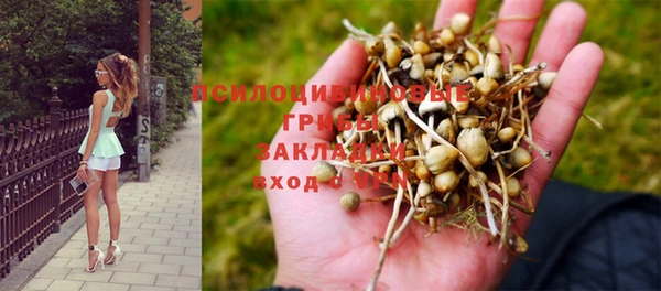 гидра Балахна